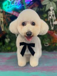 Groomers Uplifting Groomers