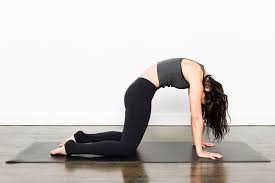 Find relief with yoga using a cat to cow pelvic tilt. The Cat And Cow Pose Archives Yogarsutra