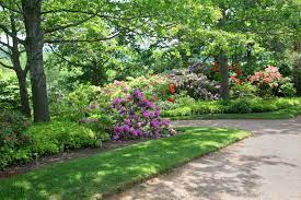 Scroll through to find the shade your heart desires. Garden Shade Info Using Plants In Partial Shade