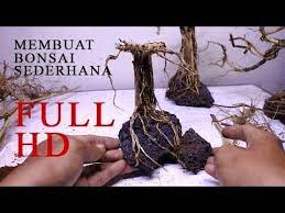 Membuat Bonsai Aquascape Aquarium Sederhana Youtube Bonsai Aquarium Sederhana