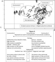 Image result for Hypertelis salsoloides