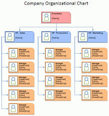 Organizational Chart Template 2 Organizational Chart