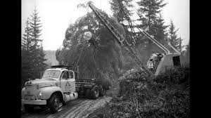 Image result for White 1990 Ryder PIE