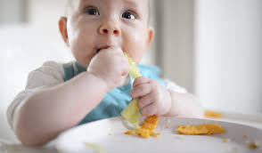 A Review Of Our First Month With Baby Led Weaning Oh Baby