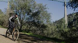 Maybe you would like to learn more about one of these? Rentals And Demos Bicycle Emporium