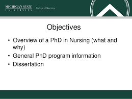 Doctorate nursing degree programs while all levels of nursing are expected to see high growth, nurses with doctoral degrees are projected to have tremendous job demand over the next decade. A Phd A Career In Nursing Research