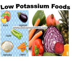 Low Potassium Diet Plan Low Potassium Diet Low Potassium Recipes Renal Diet Recipes