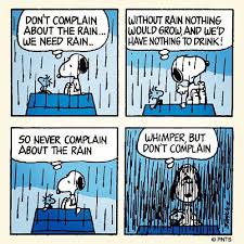Image result for cartoons about too much rain