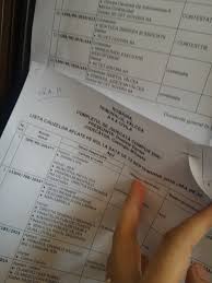 Noul portal ofera noi posibilitati de cautare rapida a informatiilor; NesimÅ£ire Klewos