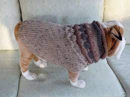 Check spelling or type a new query. Sale Dog Sweater Hand Knit English Bulldog Spencer 18 5 Inches Long Merino Wool Hand Knitting Dog Sweater Knitting