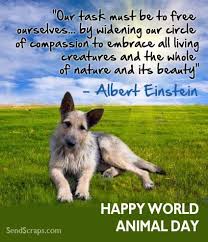 Cathy B Pet Day Animals Of The World Dog Texts