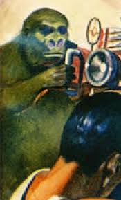 Image result for Gunillaea