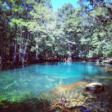 South florida state parks rv camping. 24 Beautiful Florida State Parks You Should Be Camping At This Summer