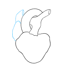 Check spelling or type a new query. How To Draw A Human Heart Really Easy Drawing Tutorial