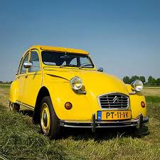 Image result for Yellow 1983 Fleet