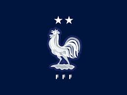 Soccer logo or football club sign badge set. France National Football Logo Animation By Quang Nguyen On Dribbble