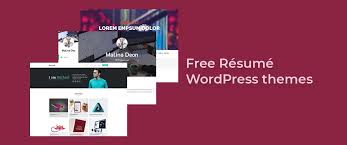 The professional resume template from wordpress prides in unlimited variations & colors, html site. 14 Free Wordpress Resume Themes For Cv And Resume Websites