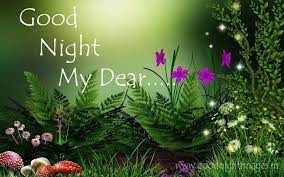 Good Night Wallpaper Hd 1080p 100 Good Night Wallpapers 2017 Wallpaper Nature Flowers Hd Nature Wallpapers 3d Nature Wallpaper