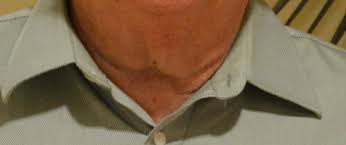 Introducing COS 2018-2019 Officers