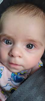 They might still be too young, but anyone have any idea of the colors I  have?