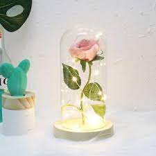 Its classicism feels unforced and fresh, its romance neither winks nor panders.i think the beginning today, beauty and the beast returns to theatres in los angeles & new york for a limited one week engagement. Medium Beauty And The Beast Rose Rose In Glass Dome Forever Rose Re Koolpop Global
