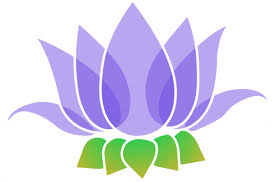Estos remedios se obtienen de forma homeopática y cada uno de ellos está indicado para tratar un trastorno emocional distinto. Flor De Loto Flores E Imanes