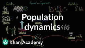 Population Dynamics