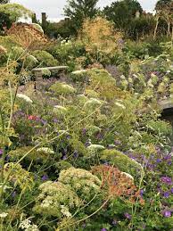 Pin On Plant Combinations