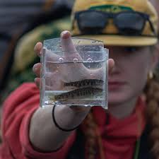 The new Fall 2021 issue of High Country Angler is live! — Colorado Trout  Unlimited