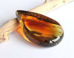 Pin On Amber Stones
