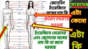 The human body, parts of human body, definition and examples. Body Parts Name English To Bangla Body Parts Name Youtube