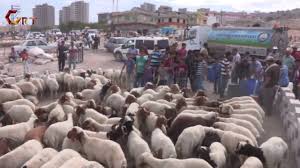 Kurban Satis Ve Kesim Yerleri Belirlendi Youtube