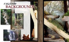 Here are seven of the coolest reptile tanks to get the ideas flowing. Custom Image Backgrounds For Reptile Cages