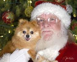 Bailey Licata's Instagram, Twitter & Facebook