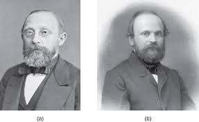 Credit for developing cell theory is usually given to three scientists: Foundations Of Modern Cell Theory Microbiology