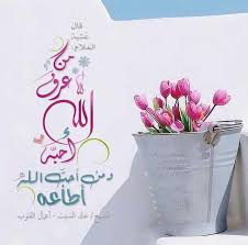 صور بلا مخالفات On Twitter Blog Greeting Cards Tableware