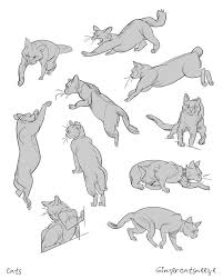 Pin By K Frisbie On Lg Full Body Gestures Lion Cat Reference Cat Anatomy Warrior Cats Art