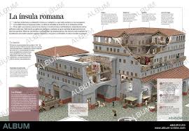 Image result for Memecylon insulare