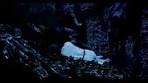 Trailer Brief voor de Koning - YouTube