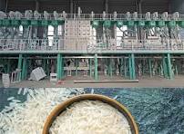 What is Rice Sorting Machine and How to Use Rice Color Sorter
