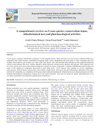 Image result for Uvaria tanzaniae