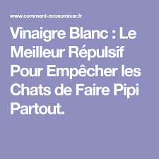 Vinaigre Blanc Le Meilleur Repulsif Pour Empecher Les Chats De Faire Pipi Partout Faire Pipi Repulsif Vinaigre Blanc