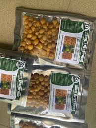 Image result for Ricinodendron