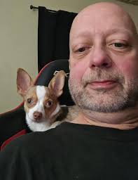 Absolute hunk of the chihuahua world! 😂