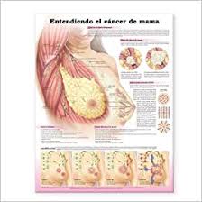 What's the spanish word for cancer? Understanding Breast Cancer Anatomical Chart In Spanish Entendiendo El Cancer De Mama 9780781772259 Medicine Health Science Books Amazon Com