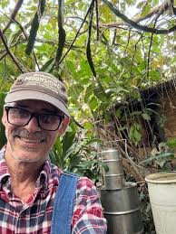 Making some pitorro for Christmas, Puertorican moonshiner …