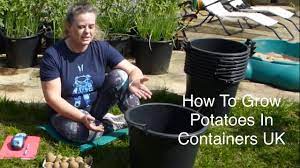 How To Grow Potatoes In Containers Uk Youtube