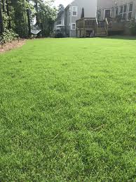 Around here (oklahoma), scalping of bermuda is usually done early in the year when the grass is dormant (jan/feb, maybe march). Bermuda Grass Late Scalp Summer Recovery Lawnsite Is The Largest And Most Active Online Forum Serving Green Industry Professionals