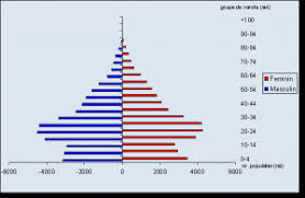 Piramida varstelor sintetizeaza trecutul si anunta viitorul. Analiza Geodemografica A Statelor Marea Britanie Si Iran