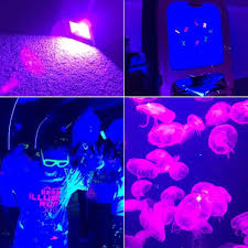 Pin On Christmas Decorations For Apartment